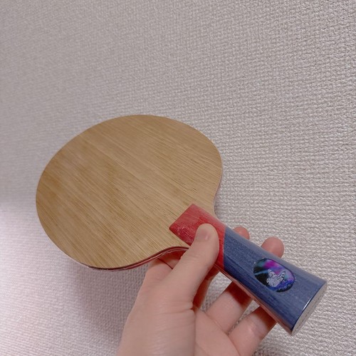 Racchetta ping pong forma - racchetta,